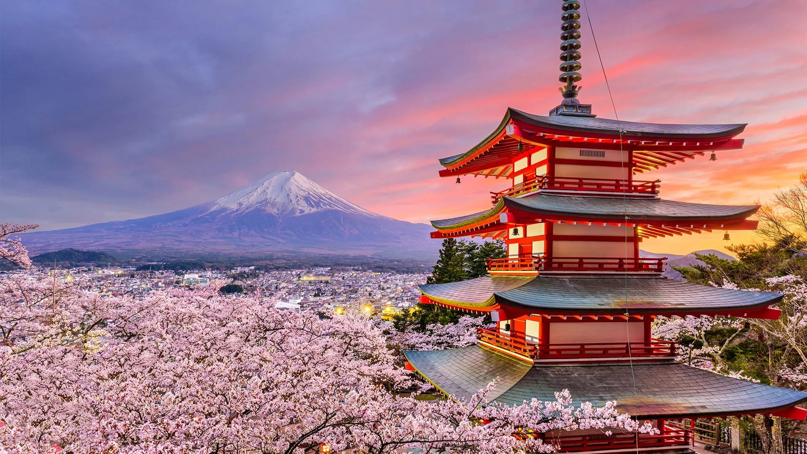 Japan Registered Design Application