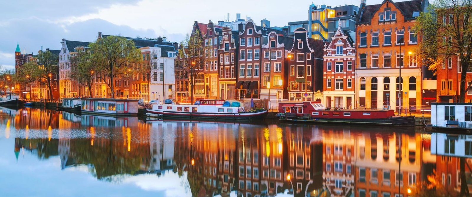 Netherlands Corporate Legal Due Diligence Coordination